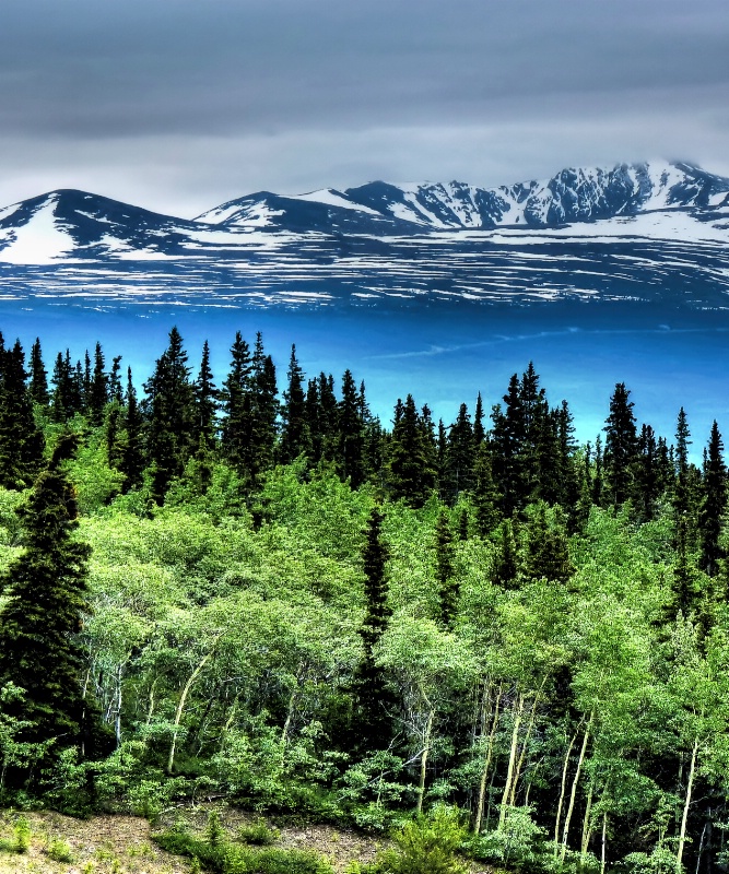view from train to skagway alaska - ID: 14681427 © John R. Grede