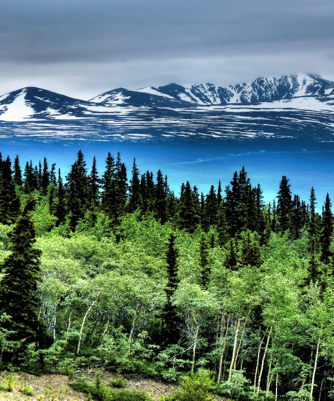 view from train to skagway alaska