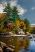 Moose River