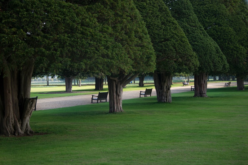 Hampton Court