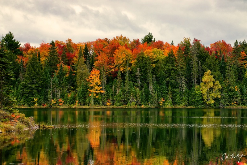 Autumn Reflections