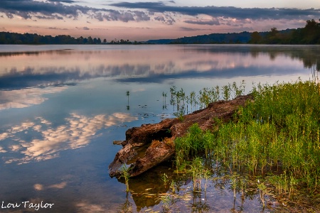 Early Morning Reflections