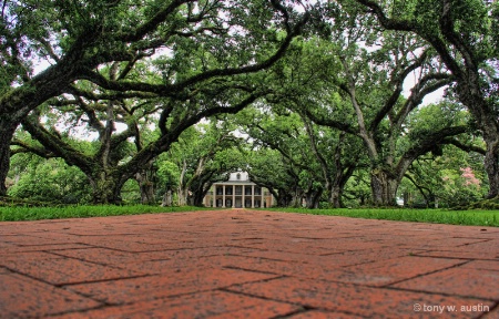 Oak Alley Plantation