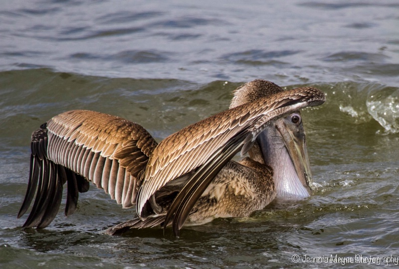 Mouth Full