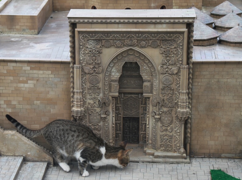 A cat from Istanbul (Miniatürk)