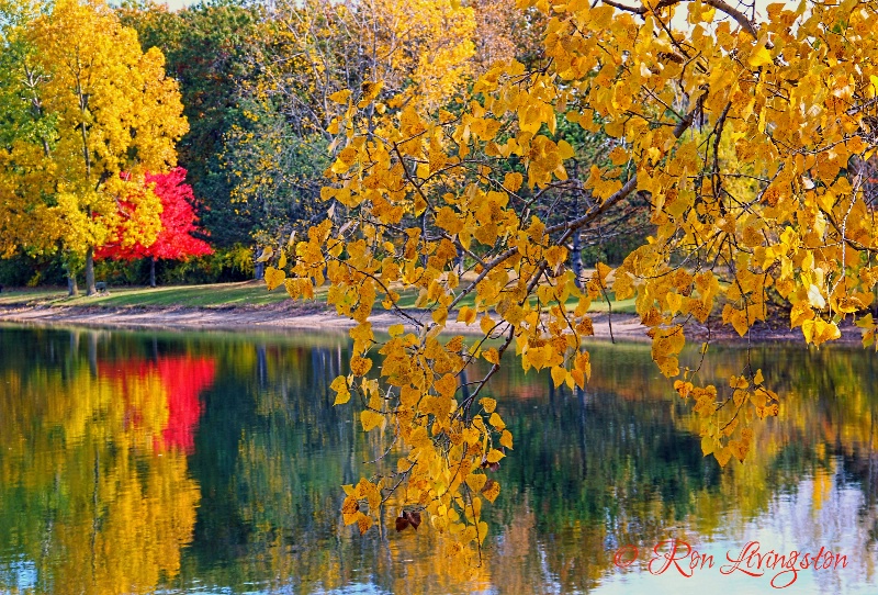 Autumn Lake