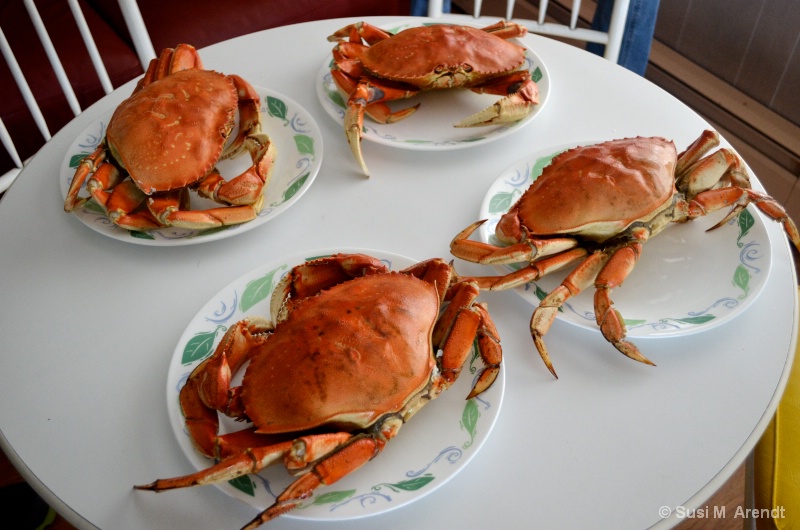 Crabs - ID: 14685956 © Susanne M. Arendt