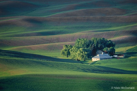 Palouse - Washington Farms - #3