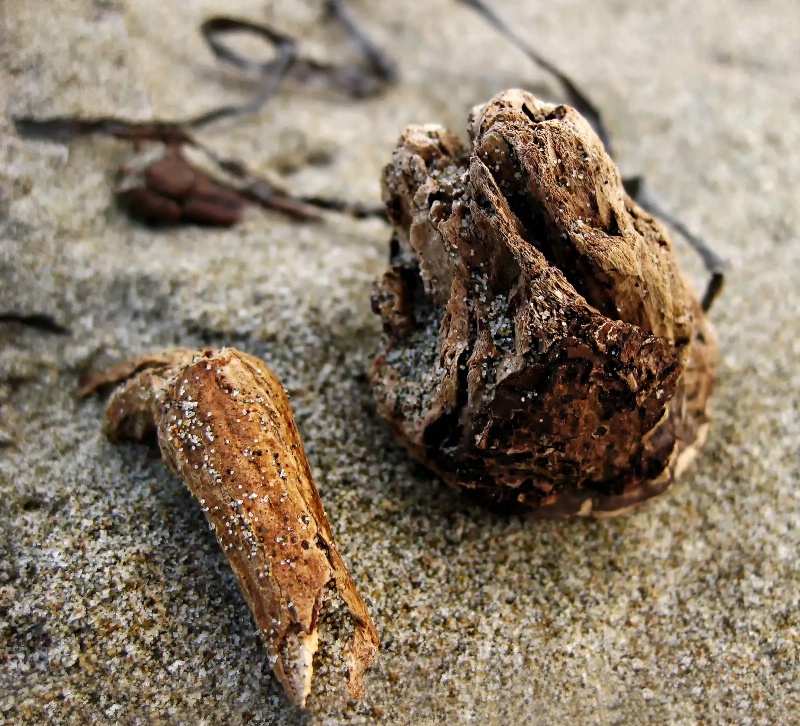 Beach Objects