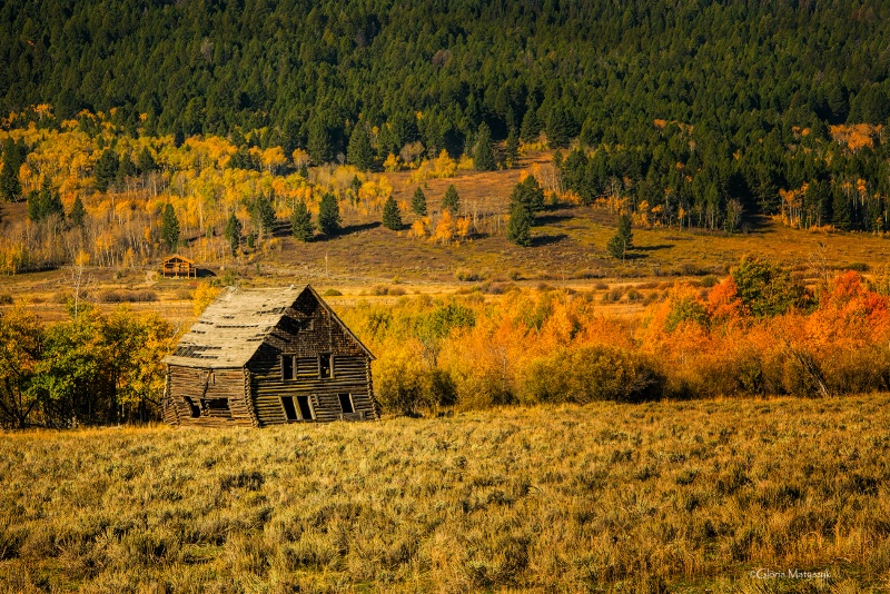Autumn colors, Montana - ID: 14688390 © Gloria Matyszyk