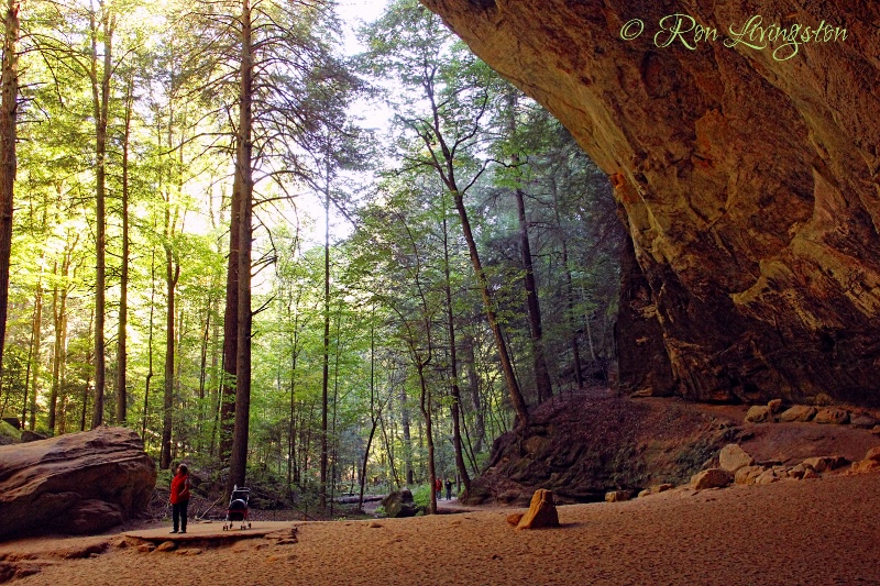 Baby Strolling in Ash Cave