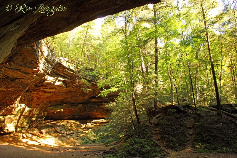 Ash Cave Stairs