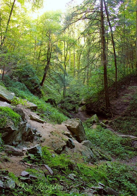 Rough Hiking