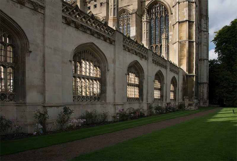 Cambridge University