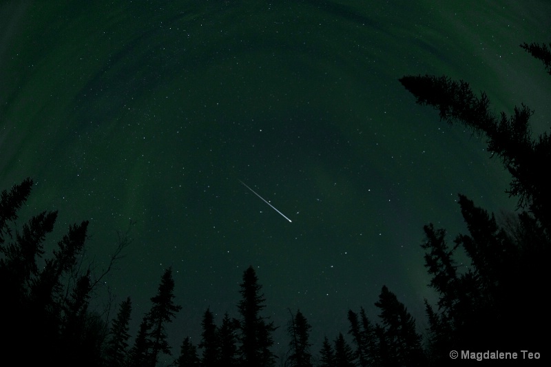 Meteor with Aurora in the Woods - ID: 14690470 © Magdalene Teo