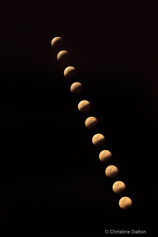 Lunar Eclipse - Oct 8, 2014