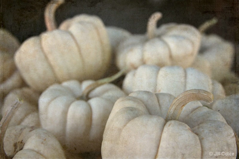 Ghost Pumpkins