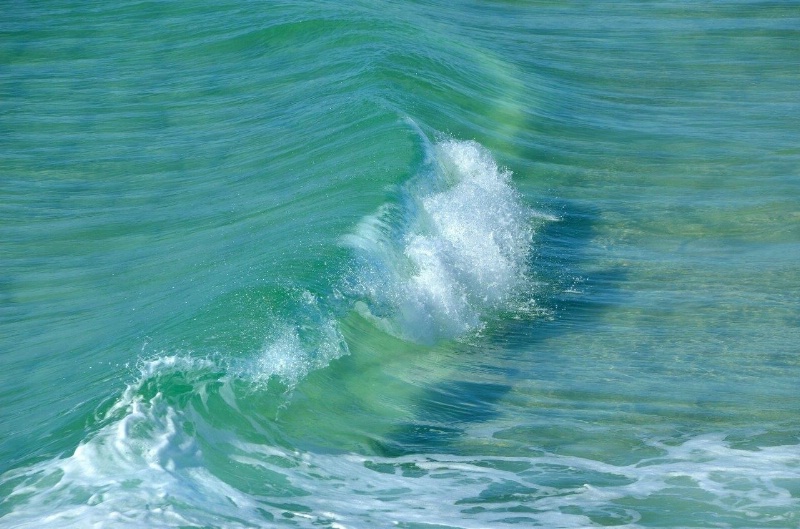 Beauty of a Wave!