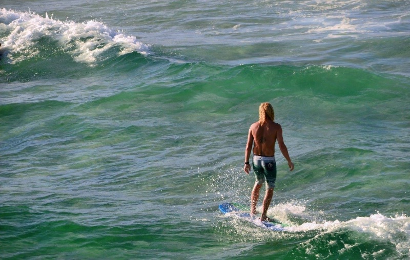 Surfer on Board