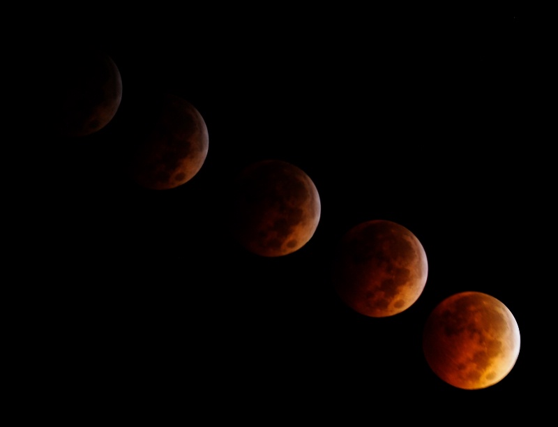 Lunar Eclipse