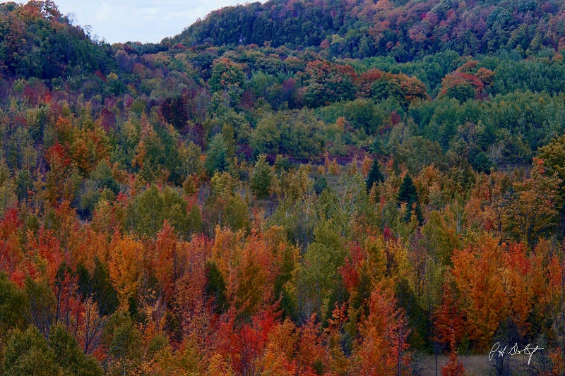 An Autumn Palette