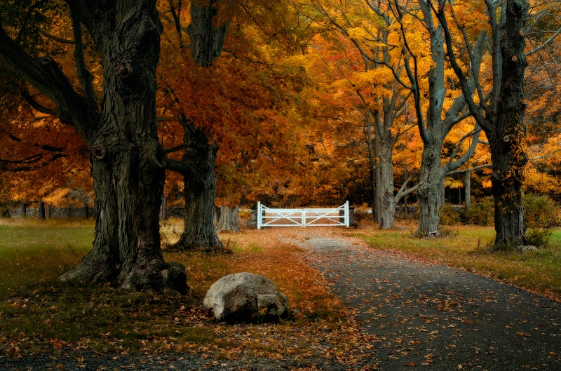 Gateway to Autumn