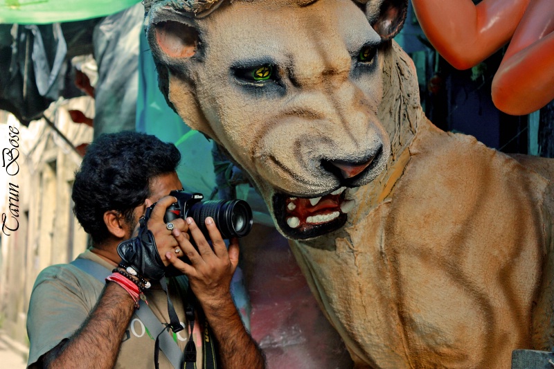 Photographer shooting a Lion.