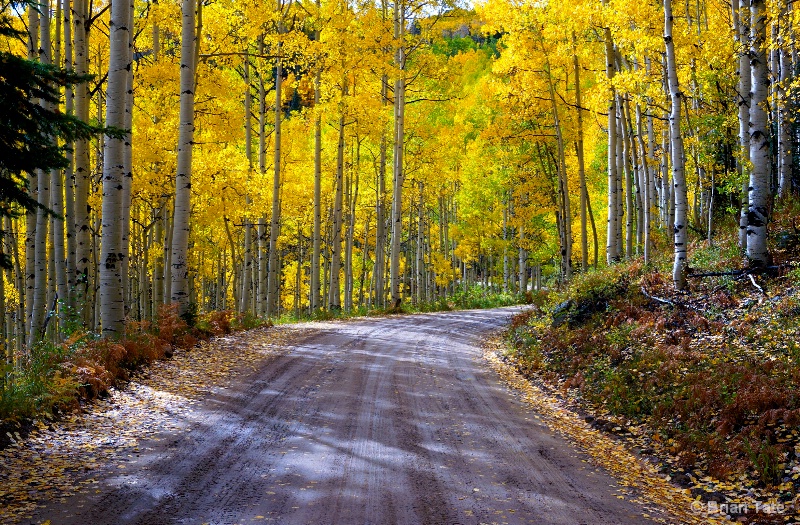 A Fall Drive
