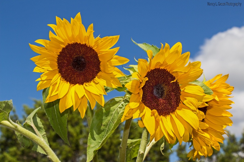 img20