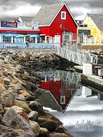 Stormy Harbor