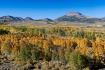 High Country Colo...