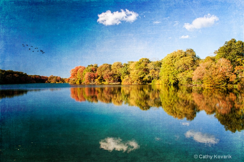 Autumn Reflections