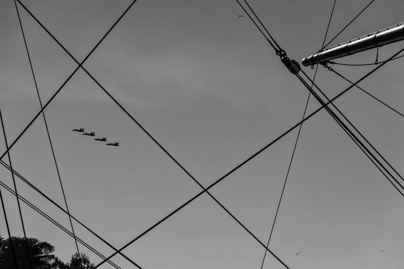 The Blue Angels in Black n White