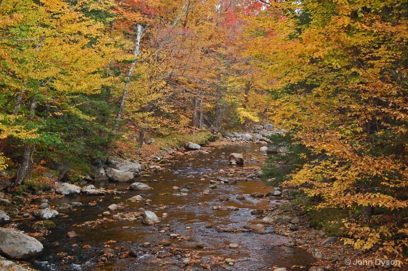 Fall foliage - New Hampshire
