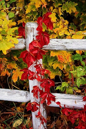 The Autumn Fence