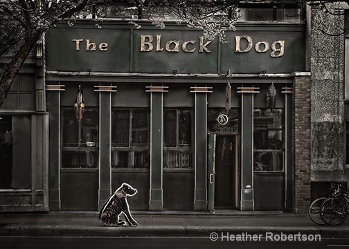 Black Dog - ID: 14701533 © Heather Robertson