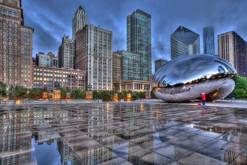 Bean and City Reflections