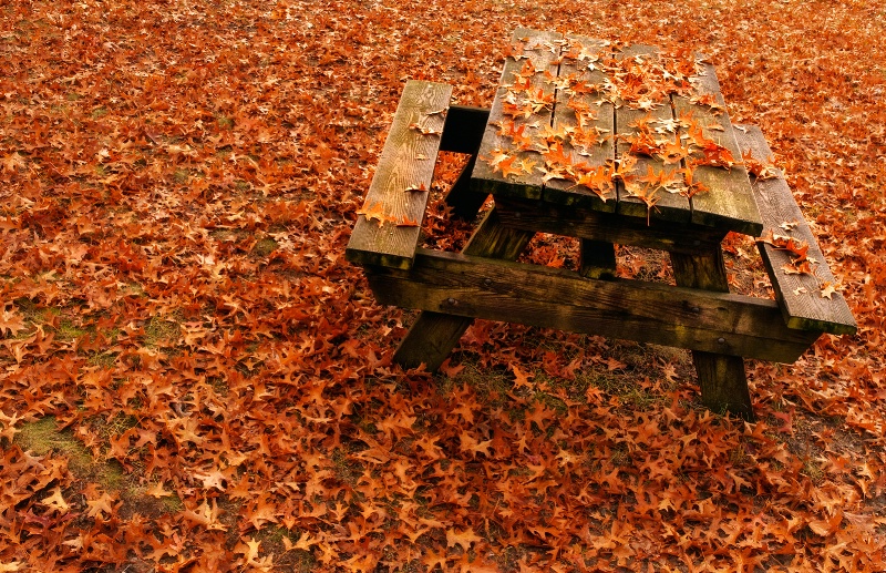 Table Leaves