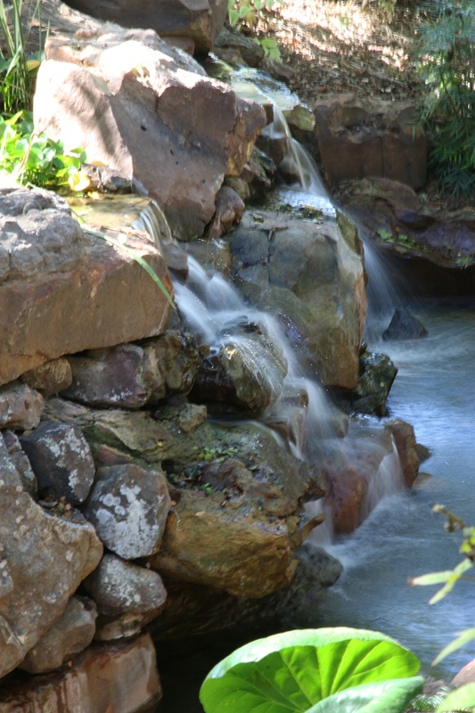 Waterfall at the Arboretum