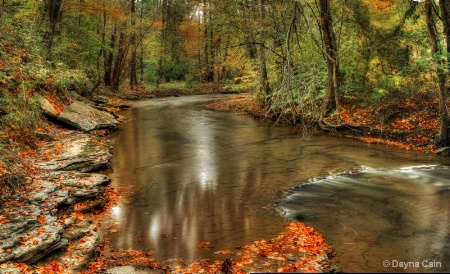 The Banks of Briar Creek