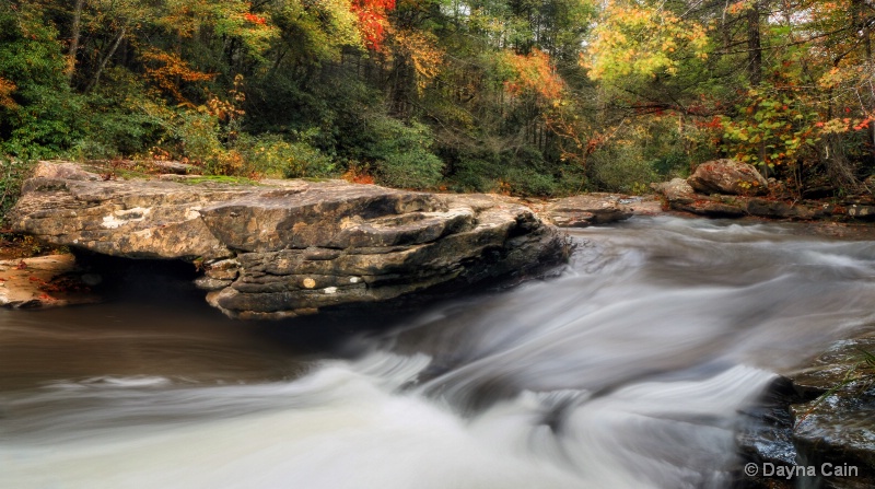 Jellico Creek