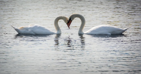 Close friends, Hyde Park London