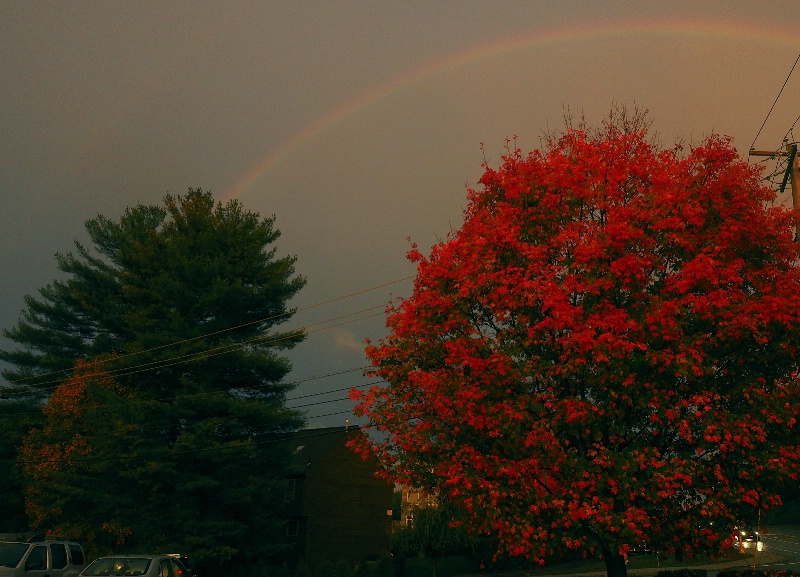 Fall foliage and rainbow at dusk