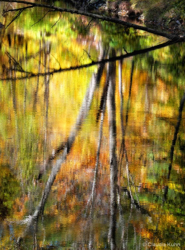 Autumn's Reflection