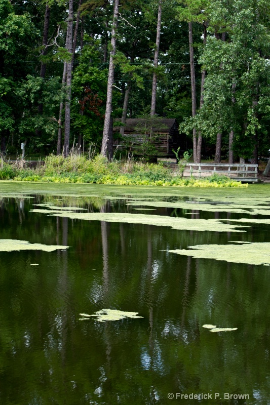 Cabin on the lake