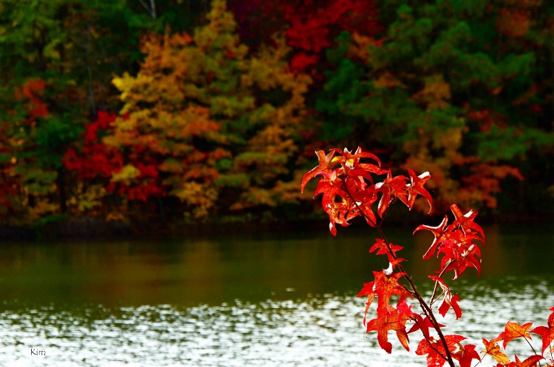 Alabama Autumn