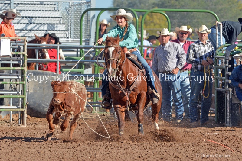 hayden madsen jr high nephi 2014 5 - ID: 14713187 © Diane Garcia