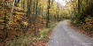 Old Hasting Road