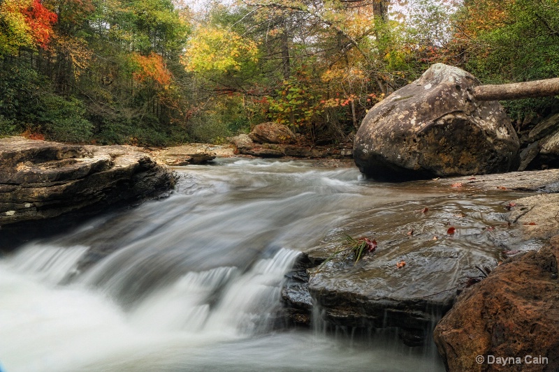 Jellico Creek In October