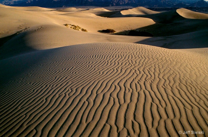Sand Dunes,Spring Death Valley National Park 
